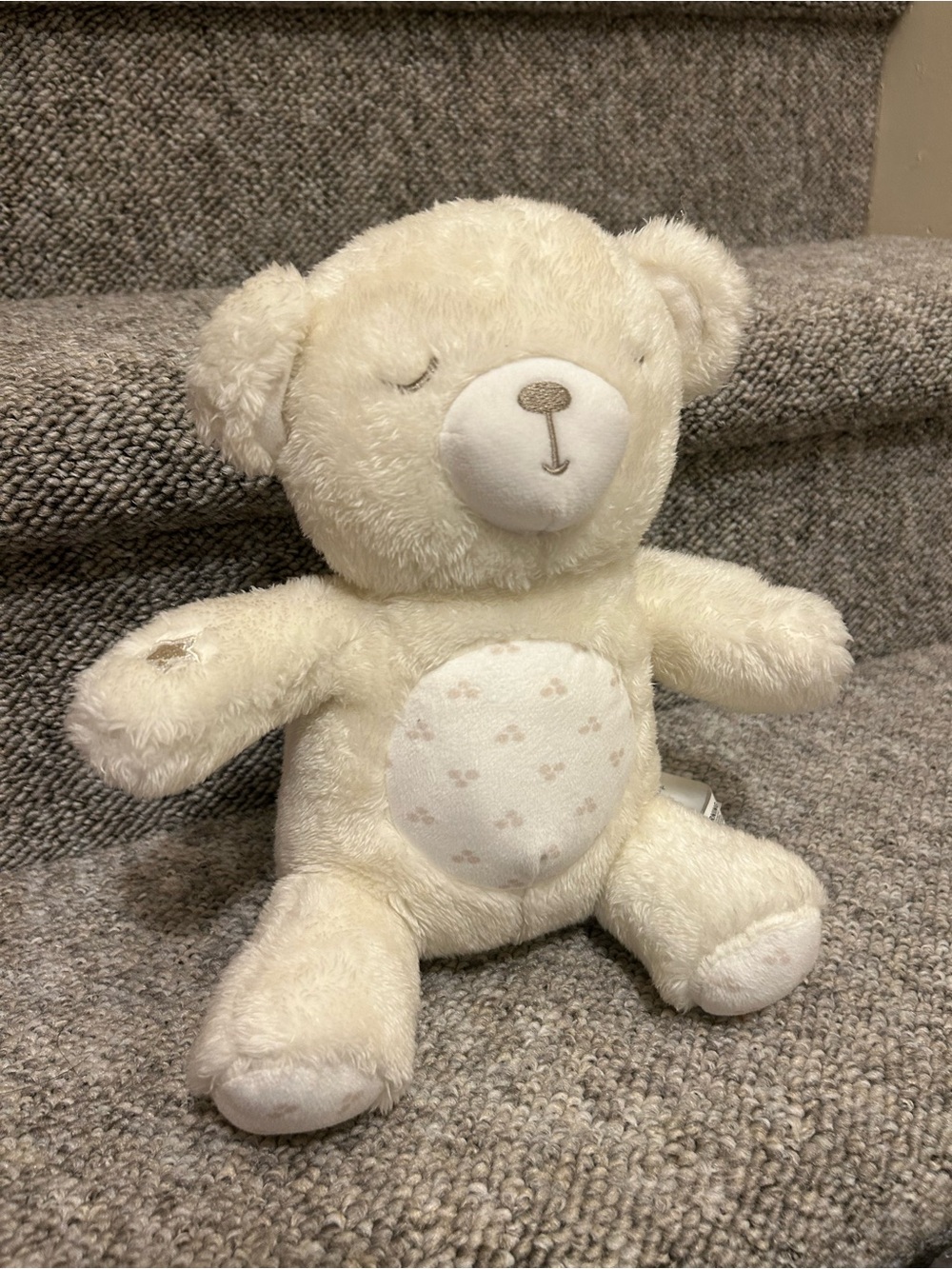 * 3 for 30$ Bundle* Cream Plush Bear with Lights and Music